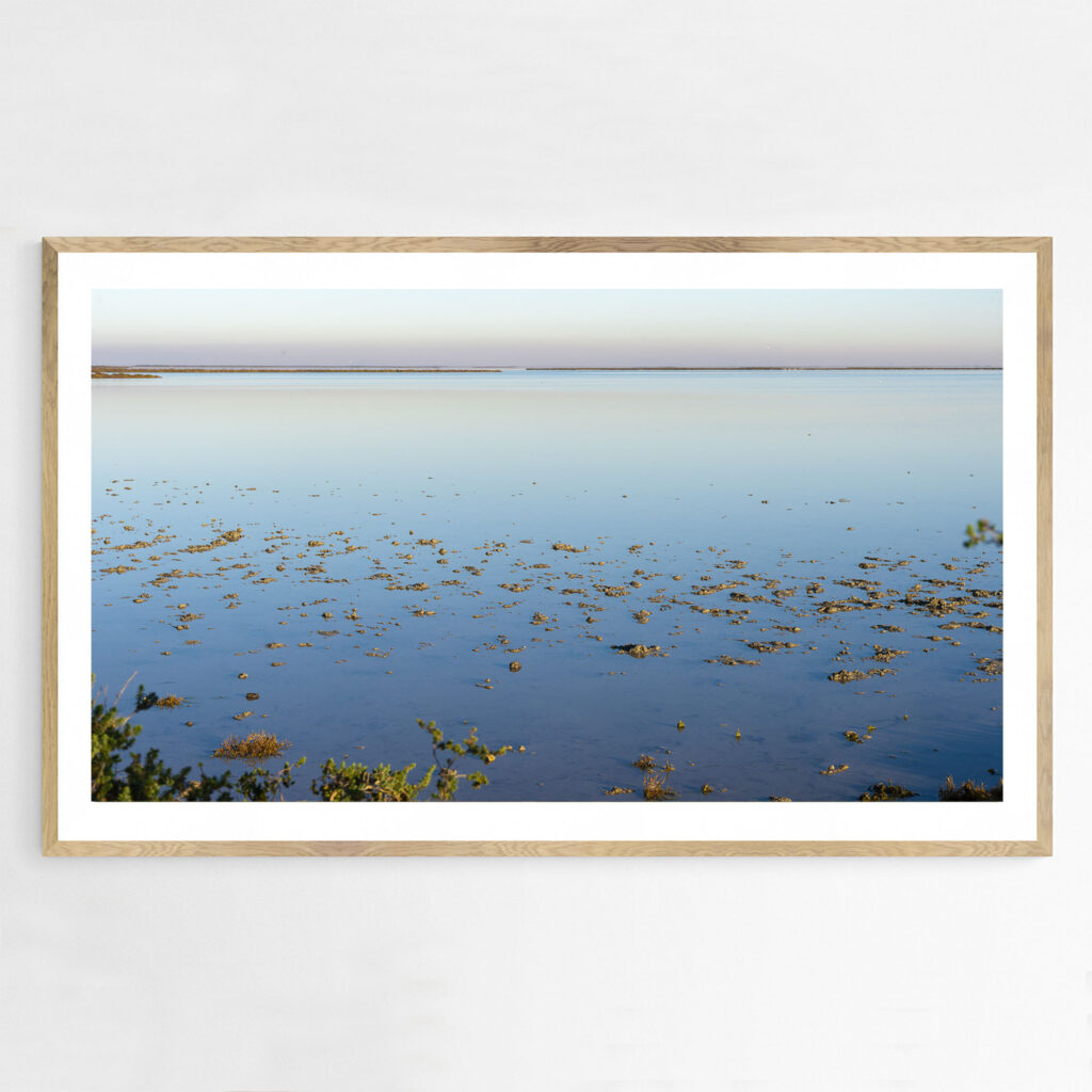 Étang du Vaccarès, Camargue, Provence, France 8