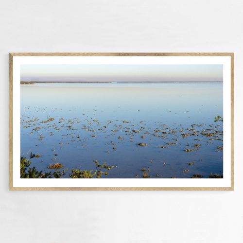 Étang du Vaccarès, Camargue, Provence, France