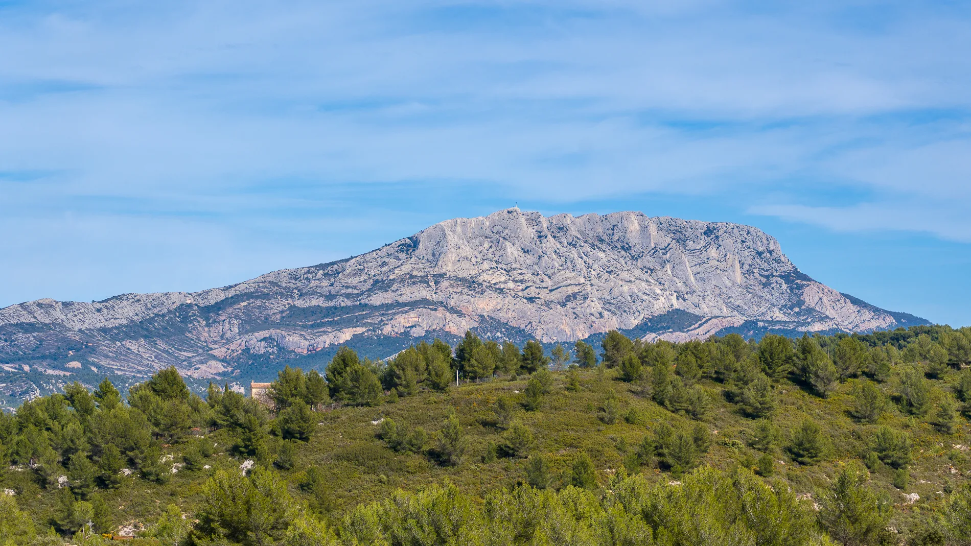 Montagne Sainte-Victoire au-dessus de la garrigue, Provence
